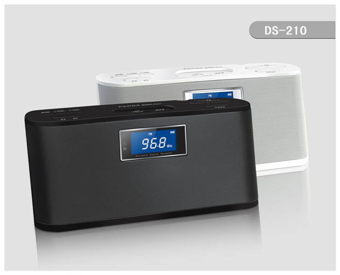 DS-210 MIni Speaker & LCD / FM Radio FM stereo radio